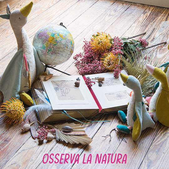 OSSERVA LA NATURA