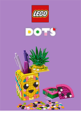 LEGO DOTS                          
