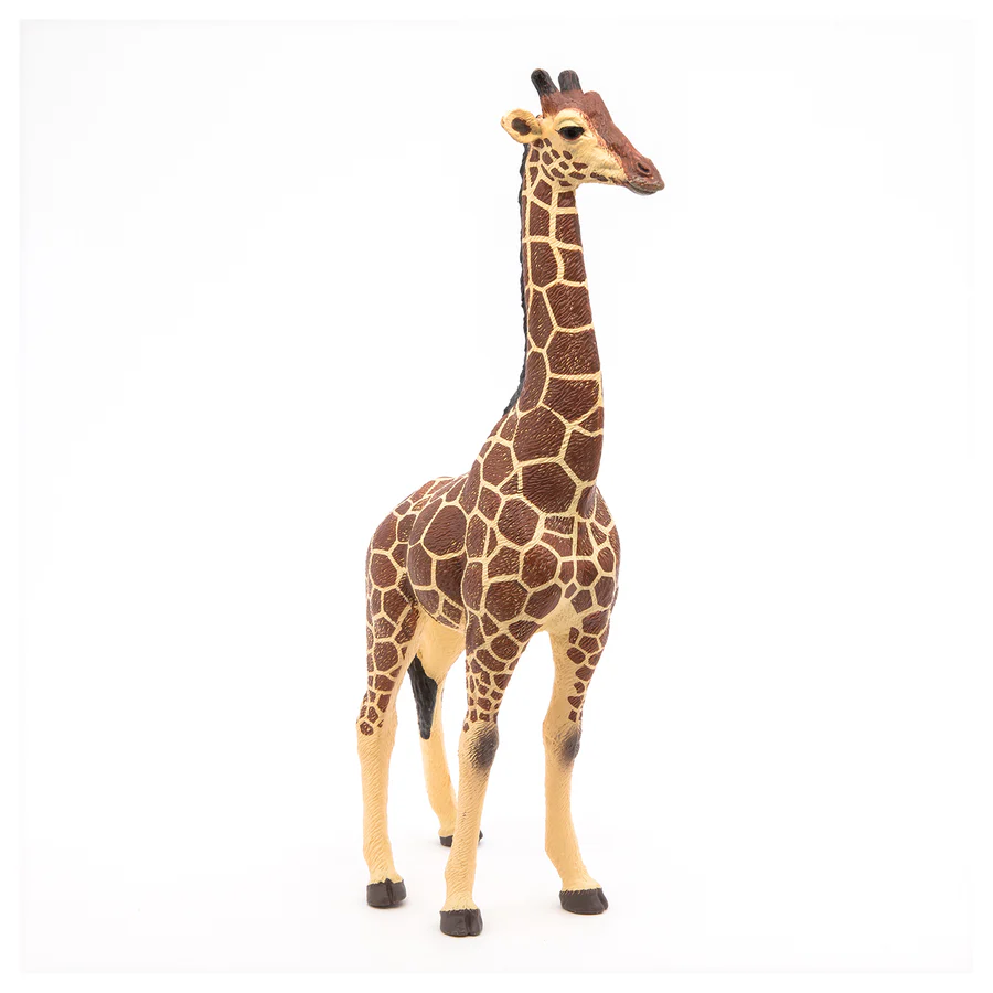 PAPO GIRAFFA MASCHIO 50149