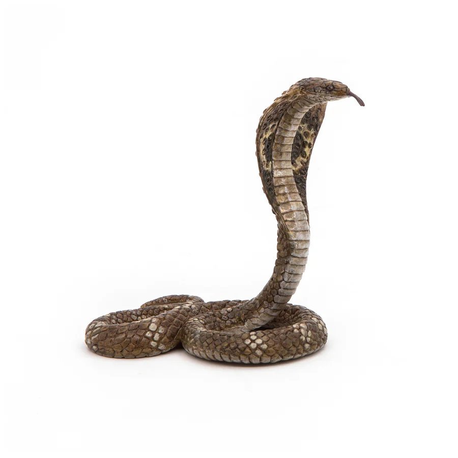 PAPO COBRA 50164