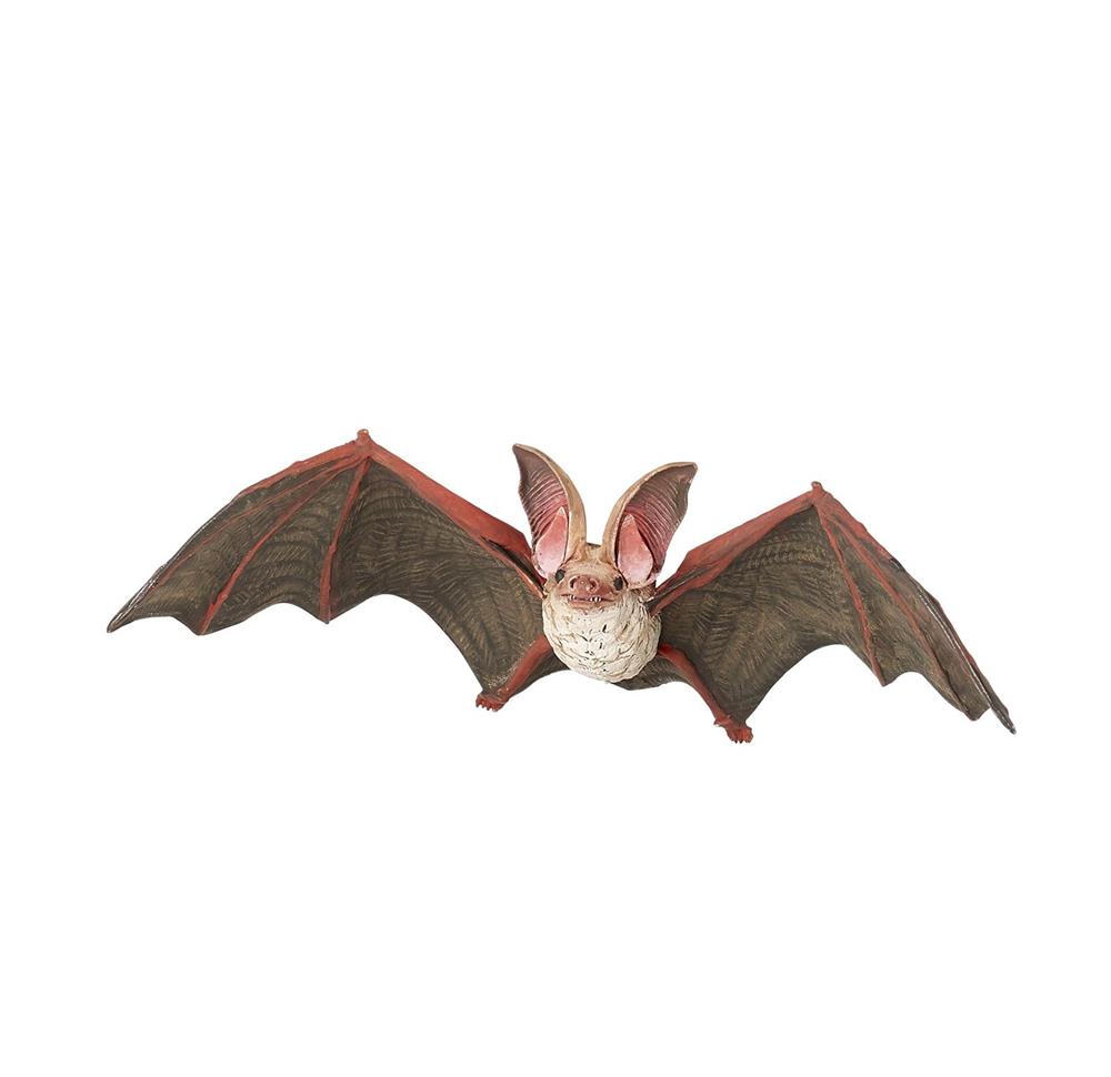 PAPO PIPISTRELLO 50239