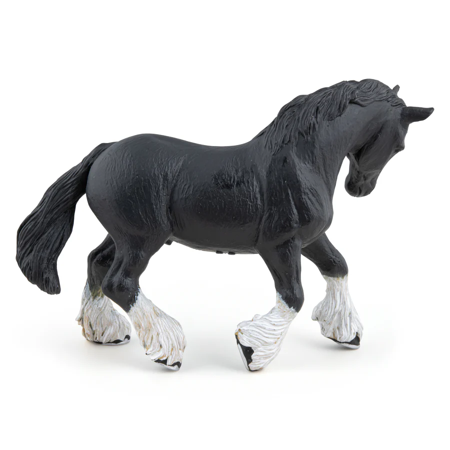PAPO STALLONE NERO 51517