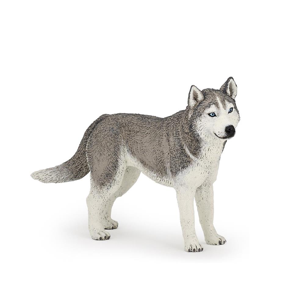 PAPO HUSKY SIBERIANO 54035