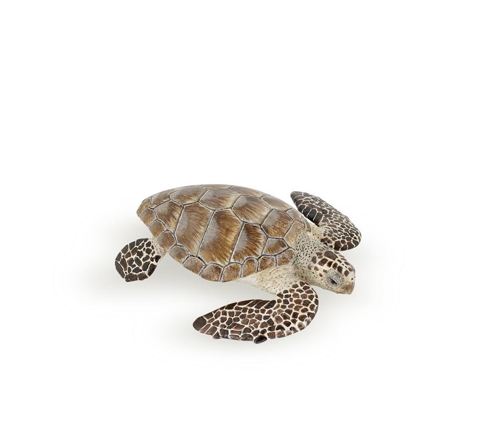 PAPO TARTARUGA CARETTA 56005