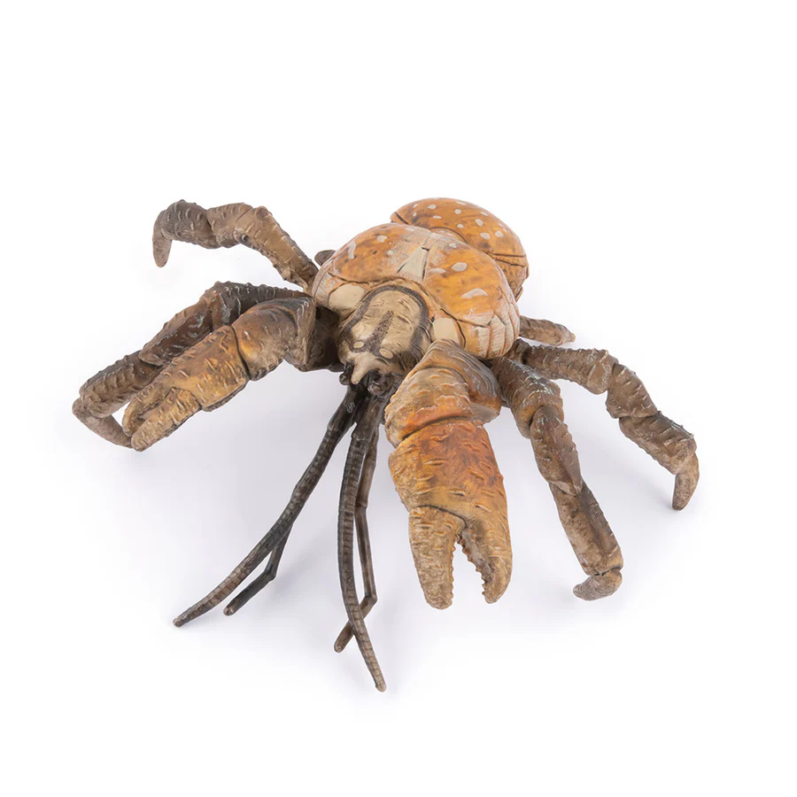 PAPO GRANCHIO DEL COCCO 56020