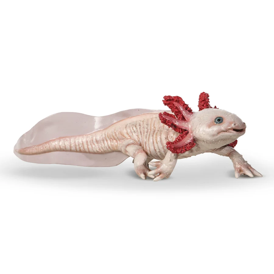 PAPO AXOLOTL 56066