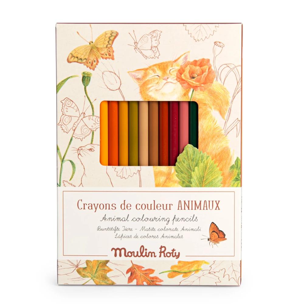 MOULIN ROTY MATITE COLORATE + CARTE - ANIMALI 712613