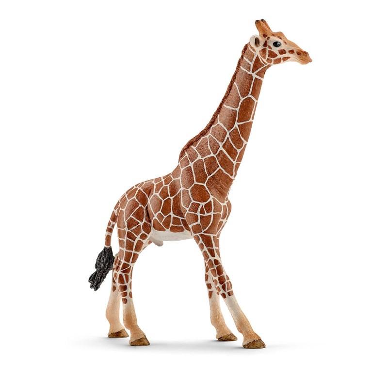 SCHLEICH WILD LIFE IN AFRICA GIRAFFA MASCHIO 14749