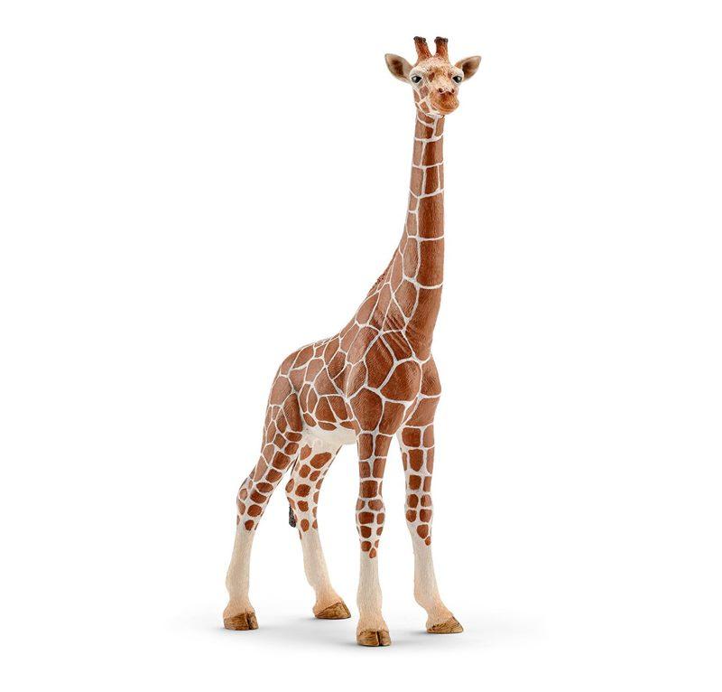 SCHLEICH WILD LIFE FEMMINA DI GIRAFFA 14750