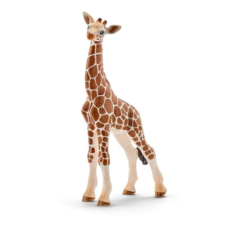 SCHLEICH WILD LIFE IN AFRICA CUCCIOLO DI GIRAFFA 14751