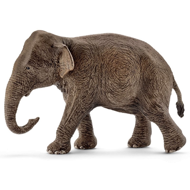 SCHLEICH  FEMMINA DI ELEFANTE ASIATICO 14753