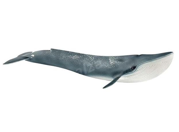 SCHLEICH BALENOTTERA AZZURRA 14806