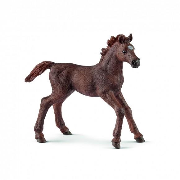 SCHLEICH PULEDRO PUROSANGUE INGLESE 13857