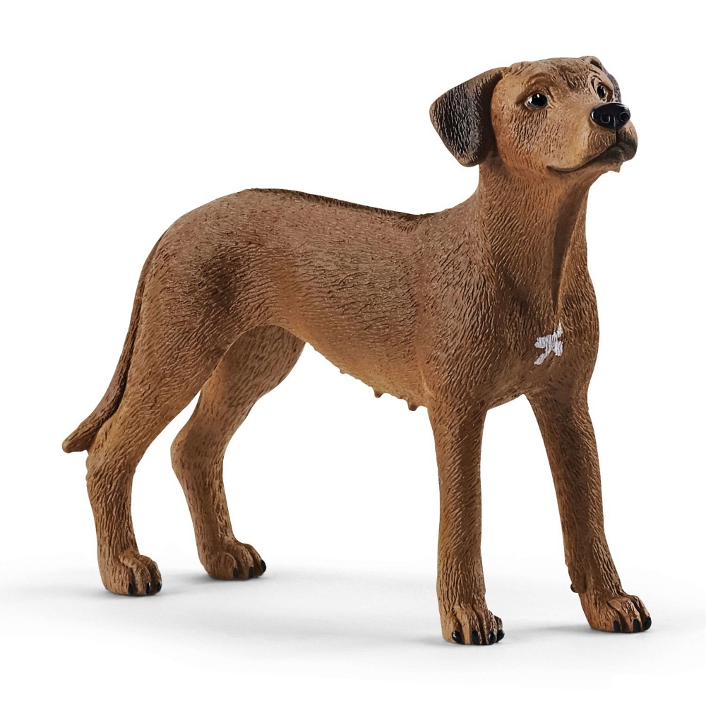 SCHLEICH RHODESIAN RIDGEBACK 13895