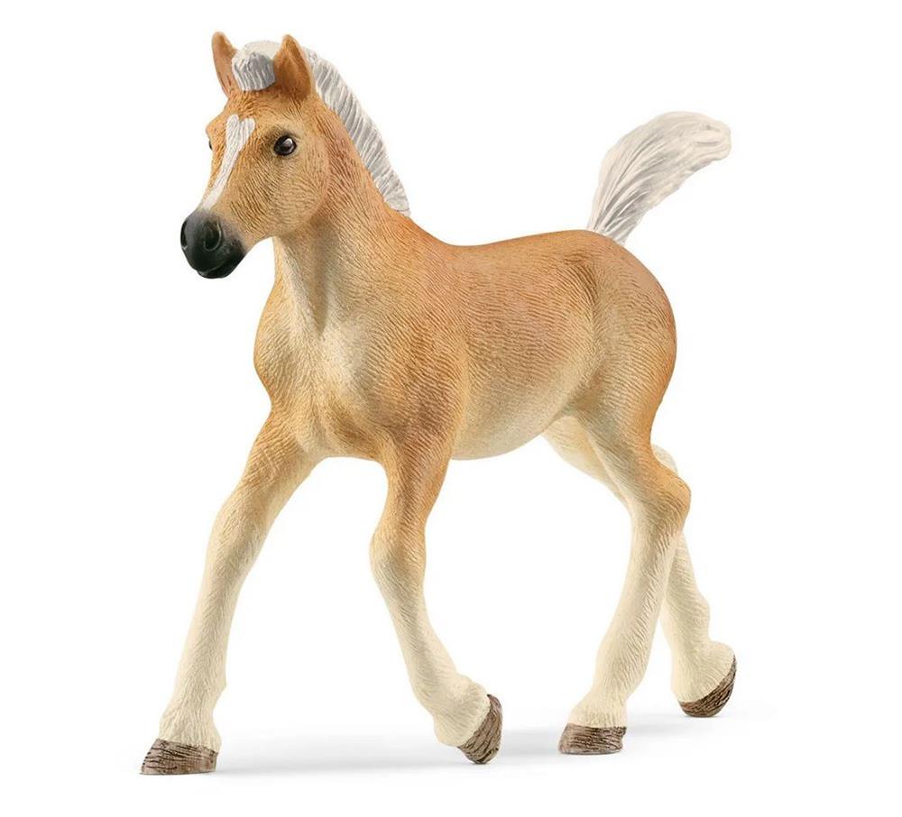 SCHLEICH PULEDRO AVELIGNESE 13951