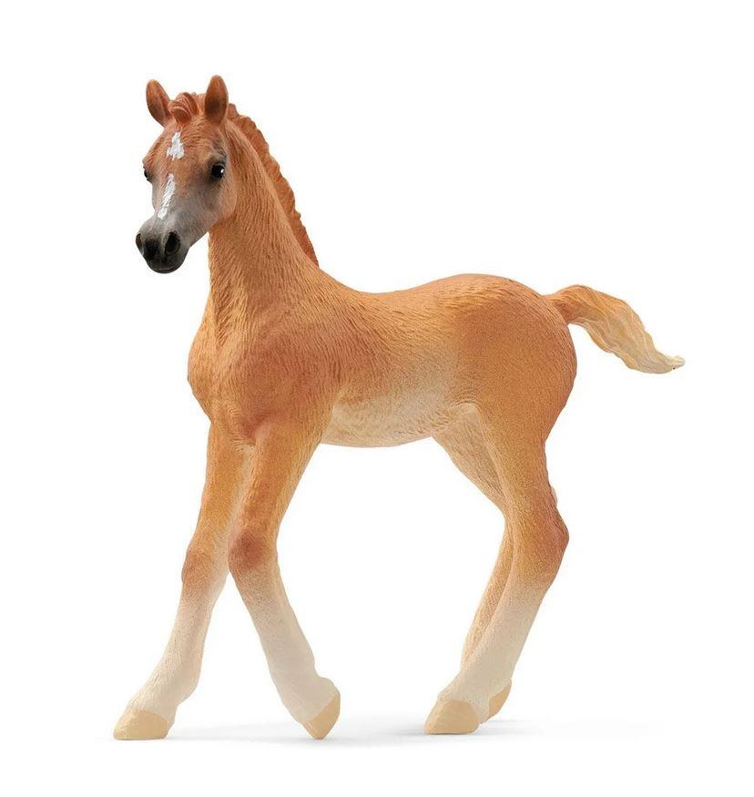 SCHLEICH PULEDRO ARABO 13984