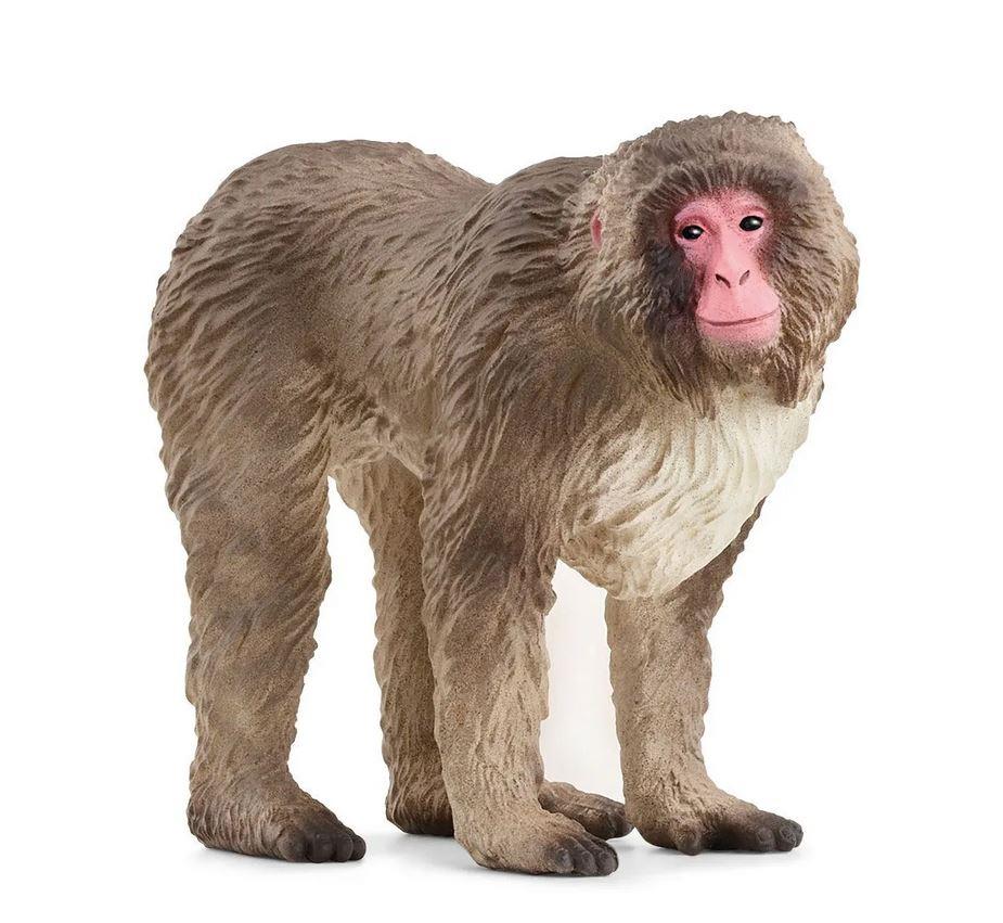 Schleich Femmina Di Elefante Africano – Figura Realistica Per Bambini, Giocattolo Educativo Per La Collezione WILD LIFE