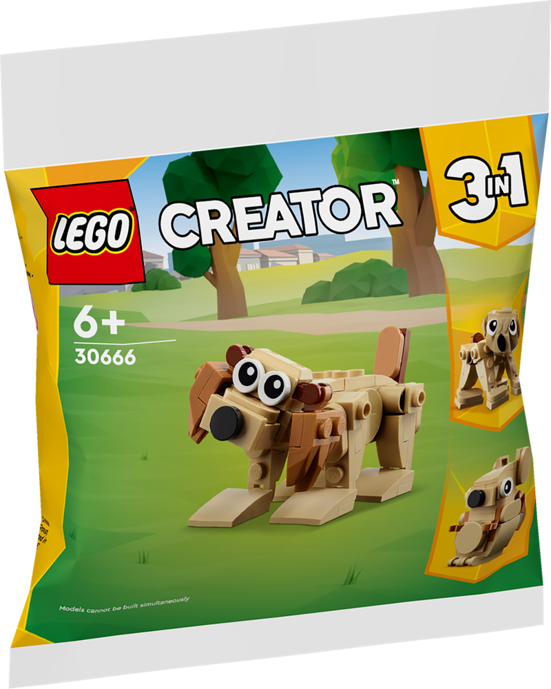 LEGO CREATOR ANIMALI REGALO 30666