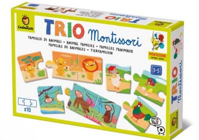 LUDATTICA FAMIGLIE DI ANIMALI - TRIO MONTESSORI 23850